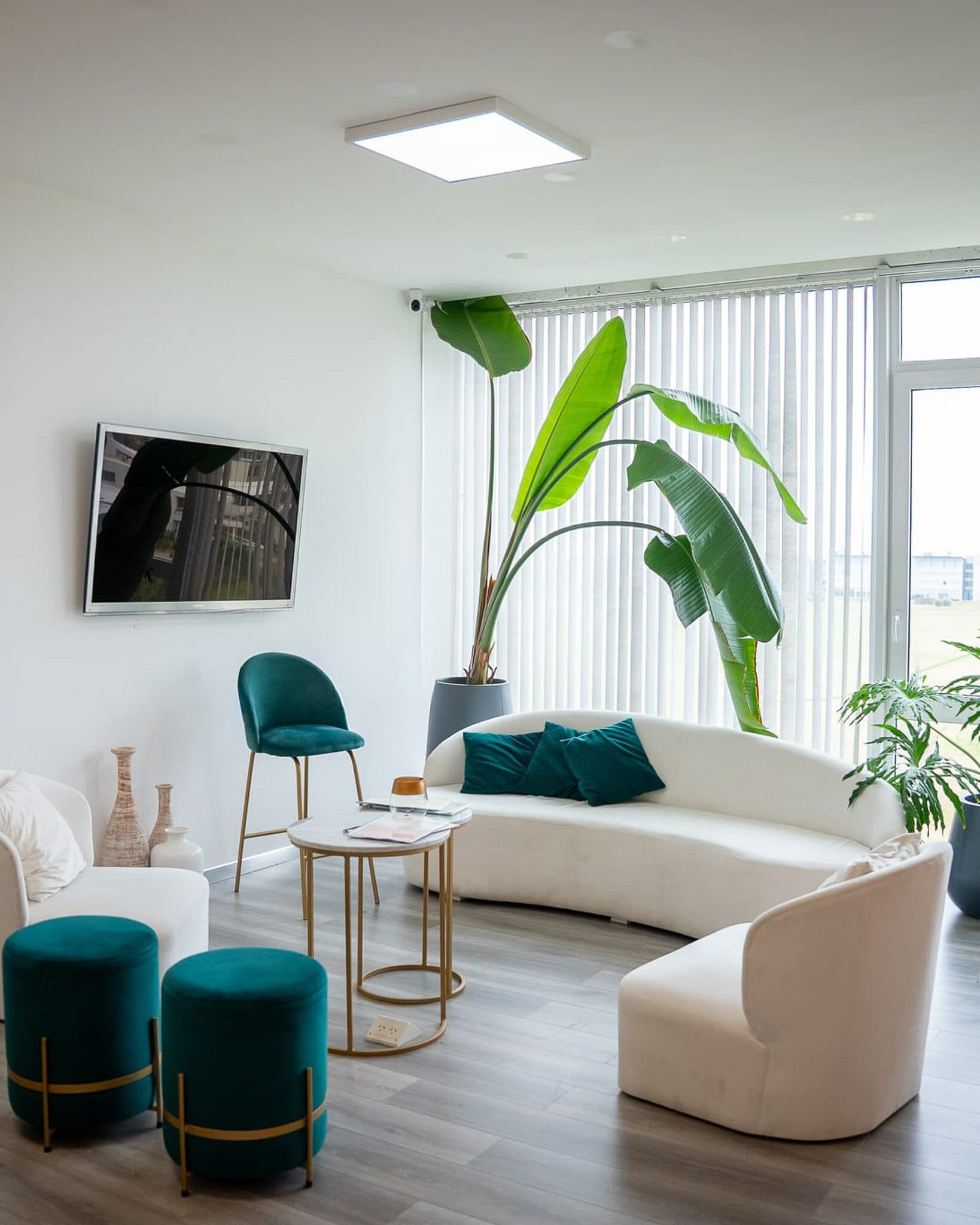Sala de espera de BioCrono con sillones blancos, plantas y un ventanal con vista abierta